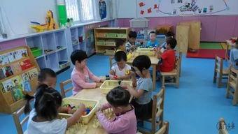 厦门爆料幼儿园视频,揭秘幼儿教育现状引发热议